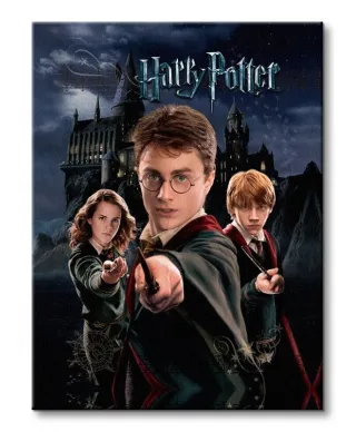 Obraz na płótnie - Harry Potter (Harry Ron Hermione)
