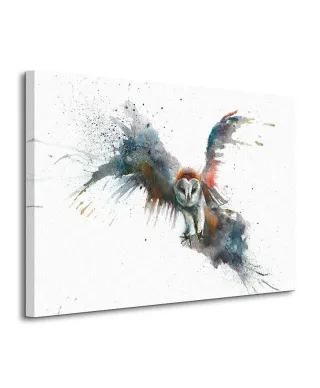 Obraz na płótnie - Eric In Flight