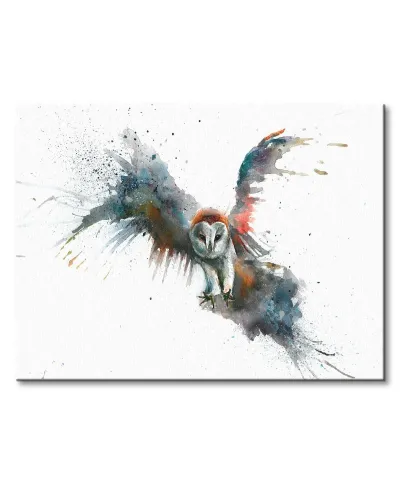 Obraz na płótnie - Eric In Flight