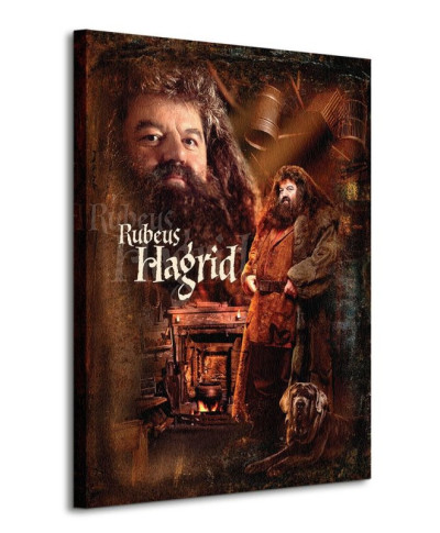 Obraz do sypialni - Harry Potter (Hagrid)