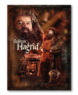 Obraz do sypialni - Harry Potter (Hagrid)
