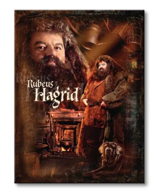 Obraz do sypialni - Harry Potter (Hagrid)