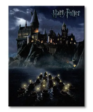 Obraz do sypialni - Harry Potter (Hogwarts School)