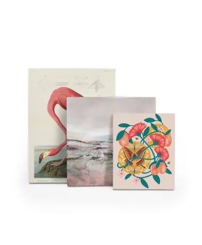 Apricots - obraz na płótnie