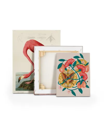 Apricots - obraz na płótnie