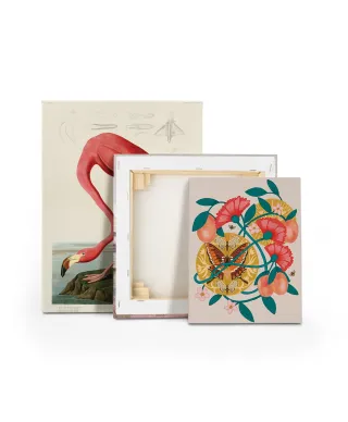 Apricots - obraz na płótnie