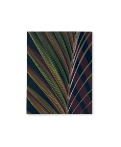 Dark Tropics II - obraz na płótnie