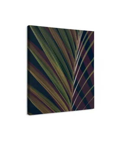 Dark Tropics II - obraz na płótnie