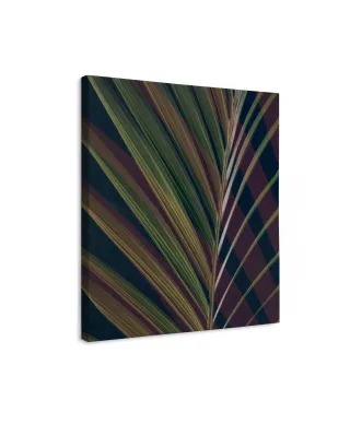 Dark Tropics II - obraz na płótnie