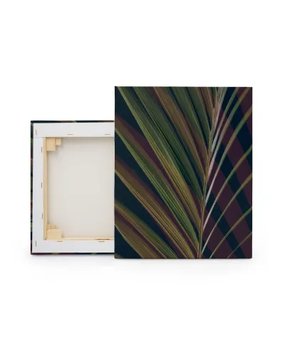 Dark Tropics II - obraz na płótnie