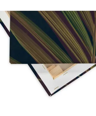 Dark Tropics II - obraz na płótnie