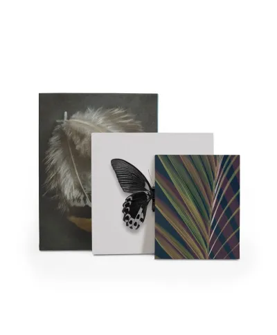 Dark Tropics II - obraz na płótnie