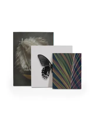 Dark Tropics II - obraz na płótnie