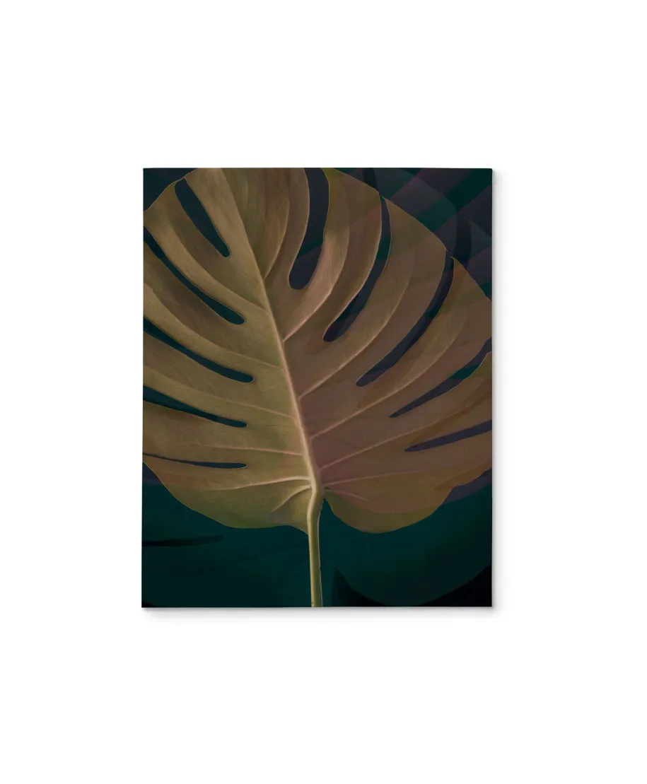 Dark Tropics III - obraz na płótnie