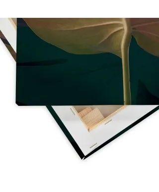 Dark Tropics III - obraz na płótnie