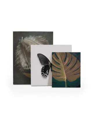 Dark Tropics III - obraz na płótnie