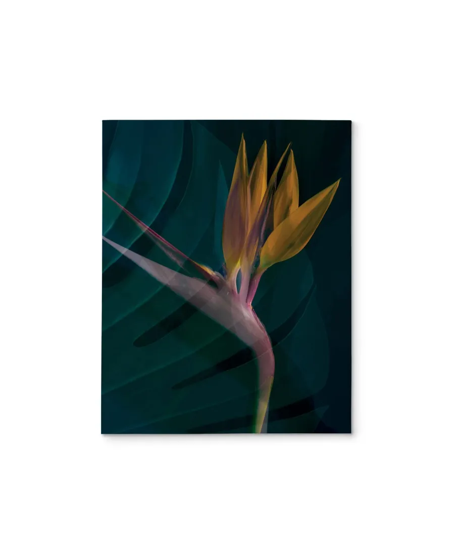 Dark Tropics IV - obraz na płótnie