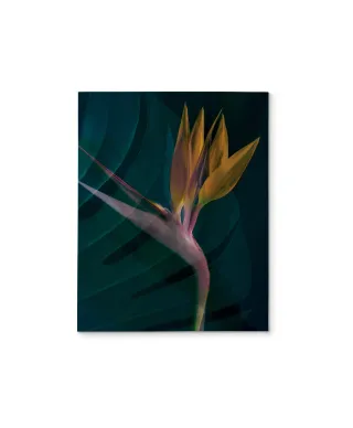 Dark Tropics IV - obraz na płótnie