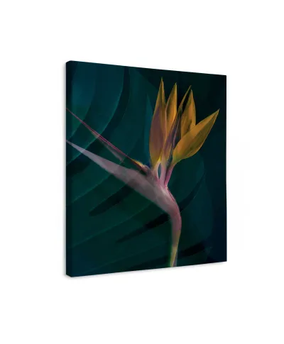 Dark Tropics IV - obraz na płótnie