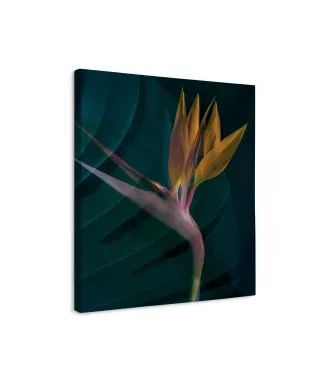 Dark Tropics IV - obraz na płótnie