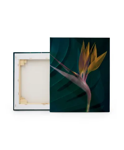 Dark Tropics IV - obraz na płótnie