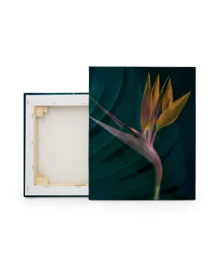 Dark Tropics IV - obraz na płótnie