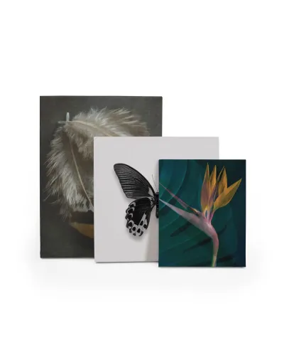 Dark Tropics IV - obraz na płótnie