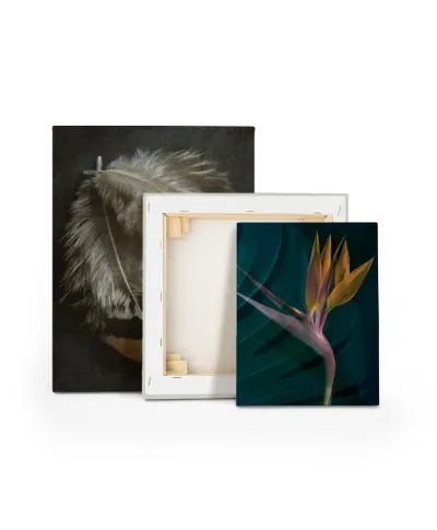 Dark Tropics IV - obraz na płótnie