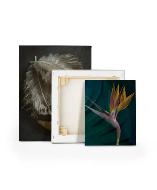 Dark Tropics IV - obraz na płótnie