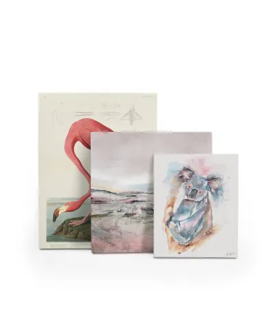 Koala - obraz na płótnie