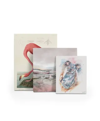 Koala - obraz na płótnie