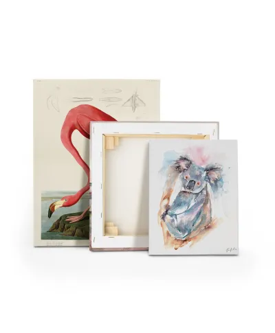 Koala - obraz na płótnie