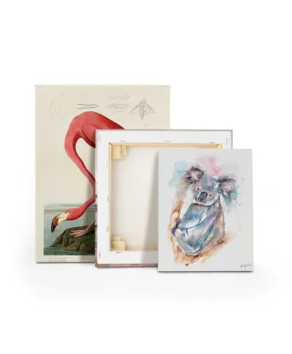 Koala - obraz na płótnie