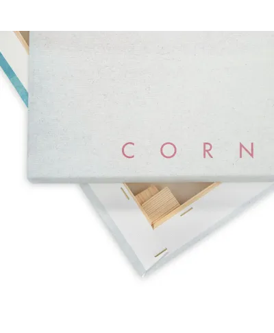 Cornwall - obraz na płótnie