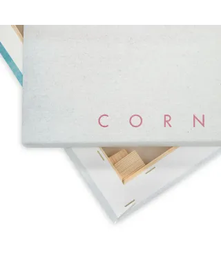 Cornwall - obraz na płótnie