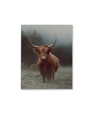 Hamish - obraz na płótnie