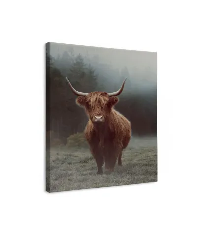 Hamish - obraz na płótnie