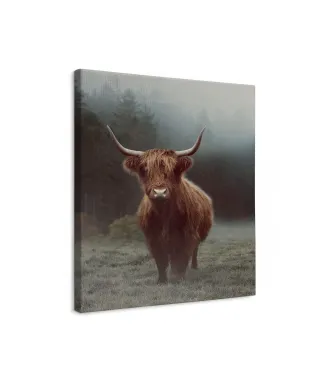 Hamish - obraz na płótnie