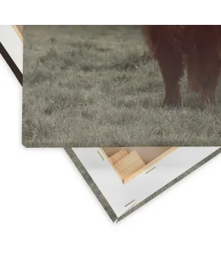 Hamish - obraz na płótnie