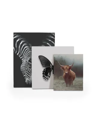 Hamish - obraz na płótnie