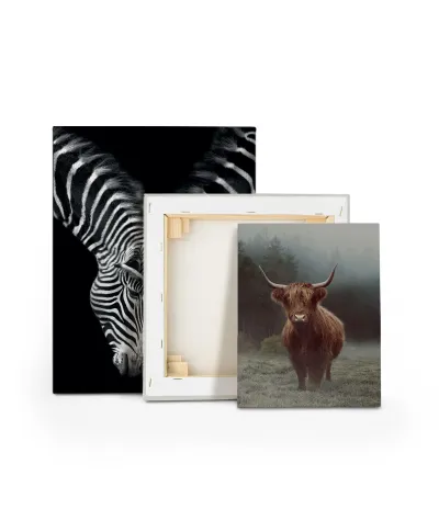 Hamish - obraz na płótnie