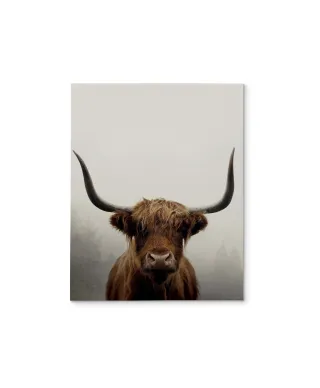 Douglas - obraz na płótnie