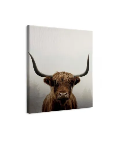 Douglas - obraz na płótnie