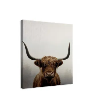 Douglas - obraz na płótnie