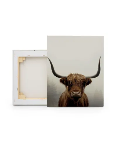 Douglas - obraz na płótnie