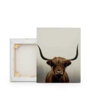 Douglas - obraz na płótnie