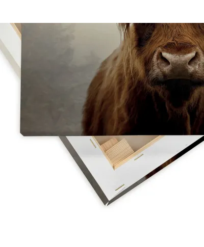 Douglas - obraz na płótnie