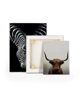 Douglas - obraz na płótnie