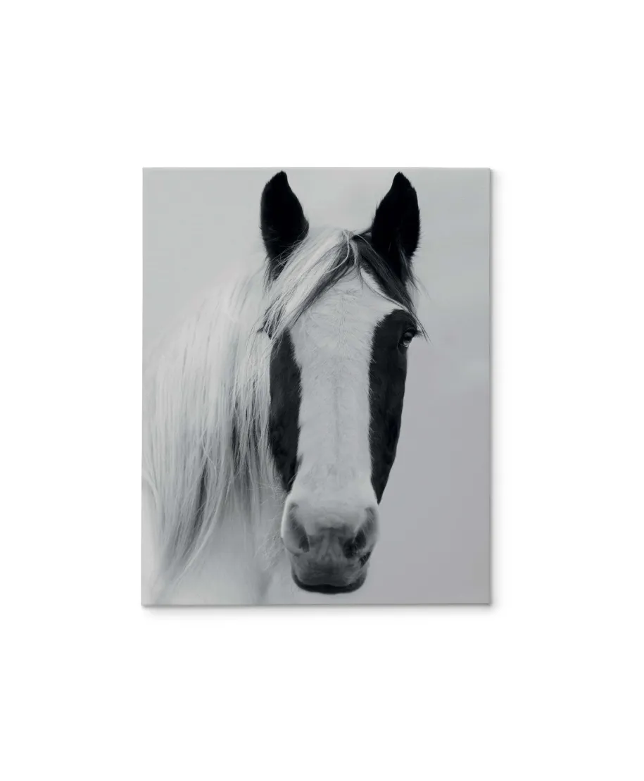 Nordic Horse I - obraz na płótnie