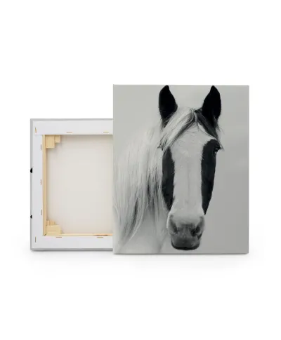 Nordic Horse I - obraz na płótnie